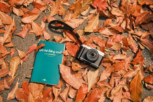 Vintage camera and book on autumn leaves in Hanoi, Vietnam.