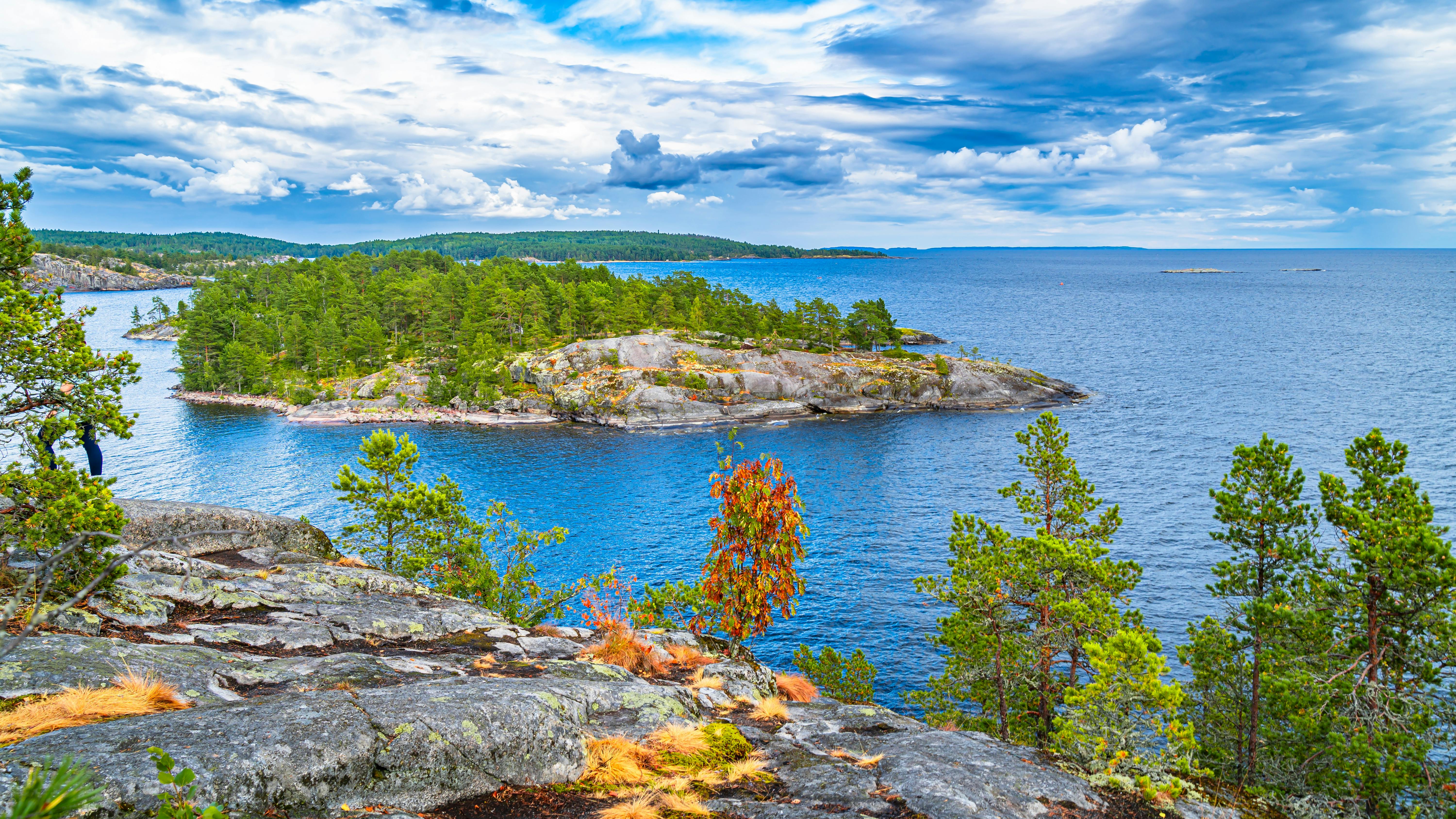 Pokémon Pokopia: Best Cloud Islands &amp; Developer Island Codes — Photo by Александр on Pexels