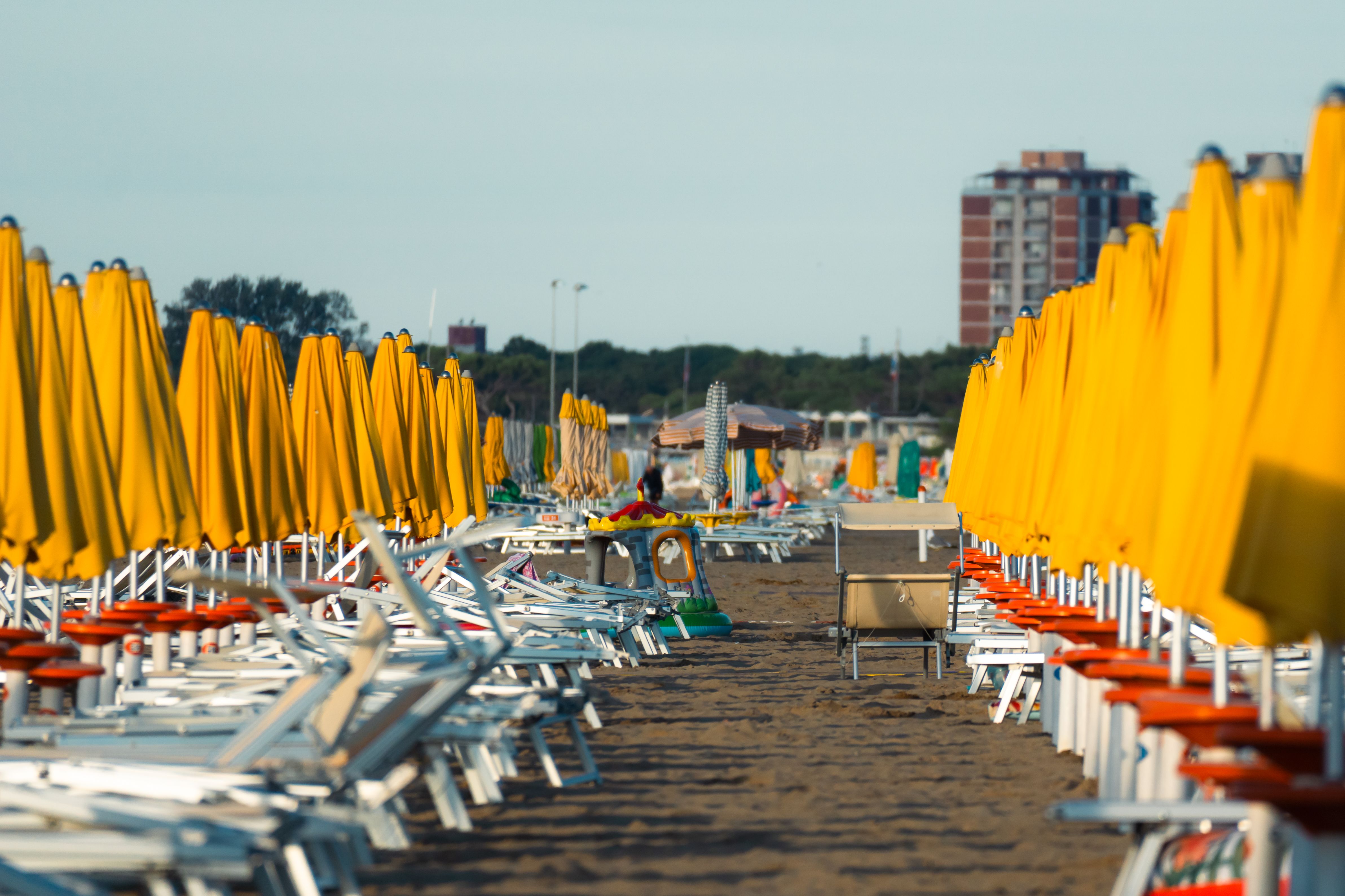 Foto: János Csatlós / Pexels