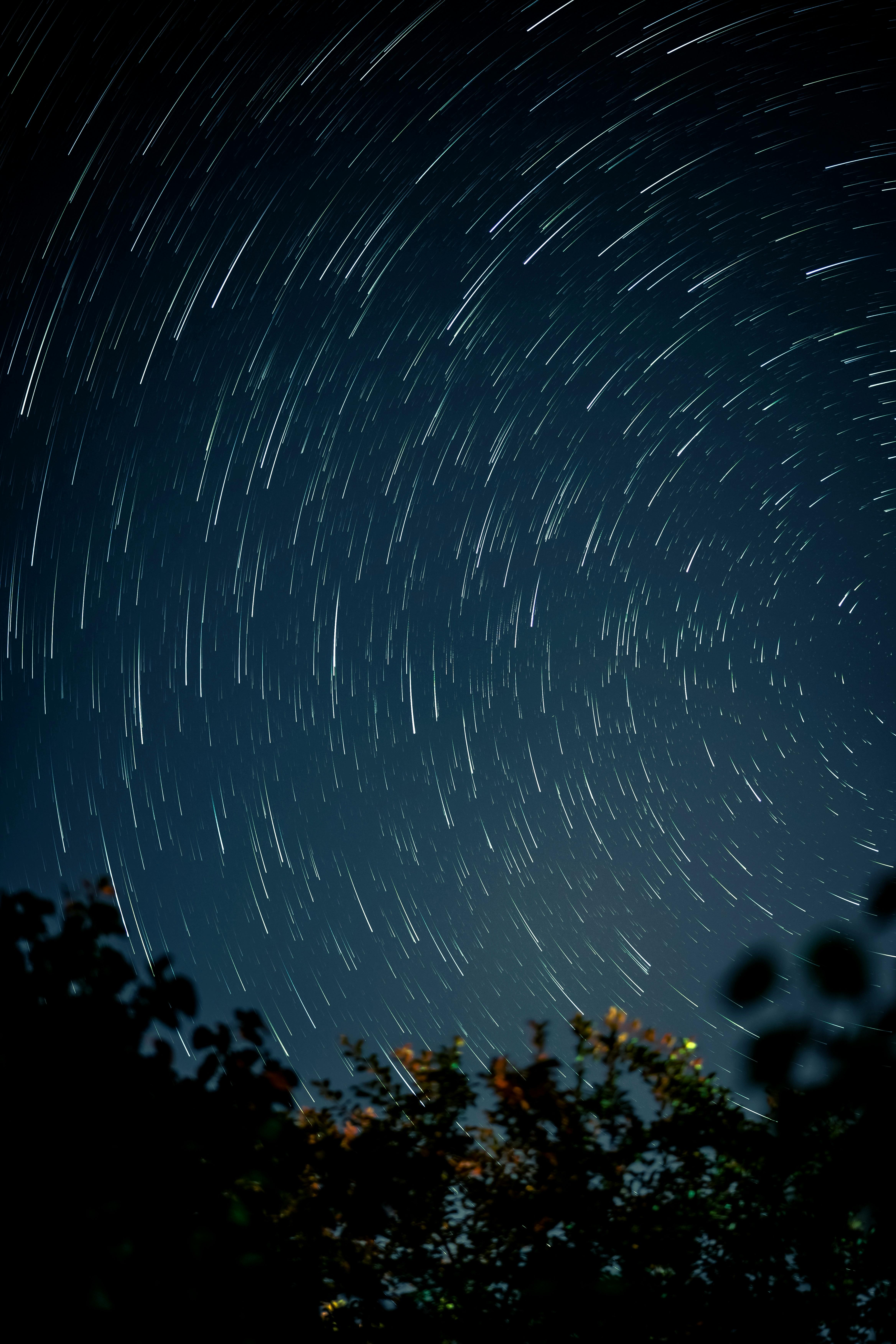 Captivating long exposure of star trails in a clear night sky above silhouetted trees.