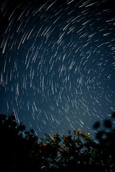 Captivating long exposure of star trails in a clear night sky above silhouetted trees.