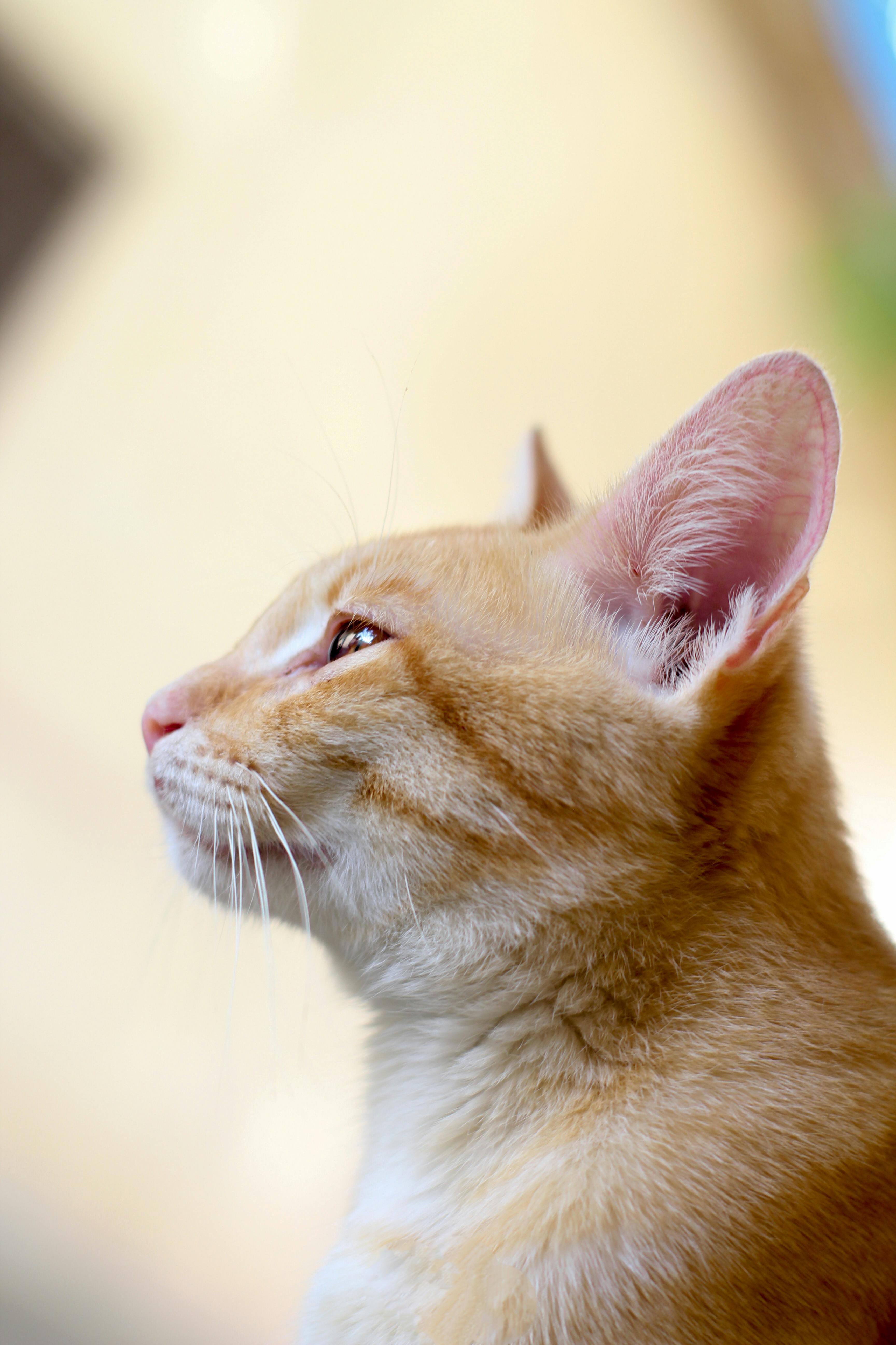 신호 강도 측정을 통한 문제 해결 방법