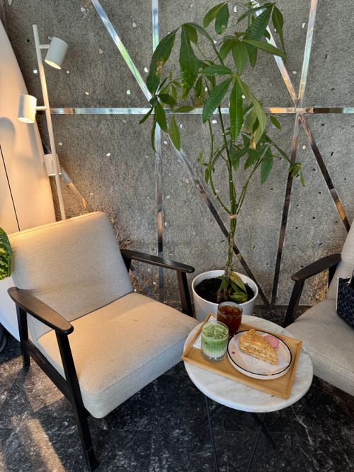 Free Inviting indoor cafe with chairs, a plant, and a table with drinks. Stock Photo