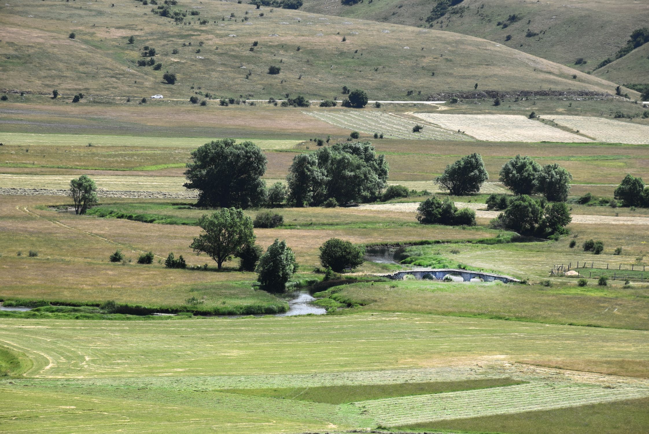 Idyllic Rural Landscape with Lush Greenery · Free Stock Photo
