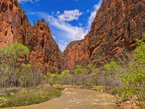 Scenic View of Zion National Park's Canyons · Free Stock Photo