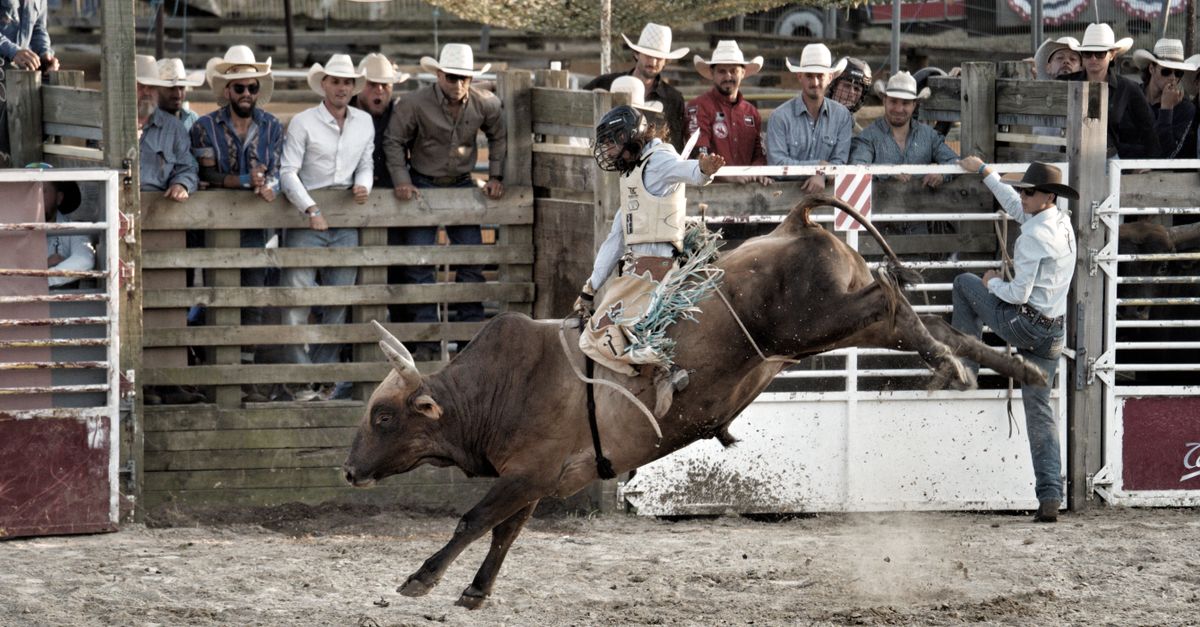 Thrilling Rodeo Bull Riding Action at Outdoor Event · Free Stock Photo