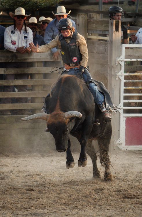 Montria Rodeio Ação Dramática De Montaria Em Touro De Rodeio Na Arena · Foto ...