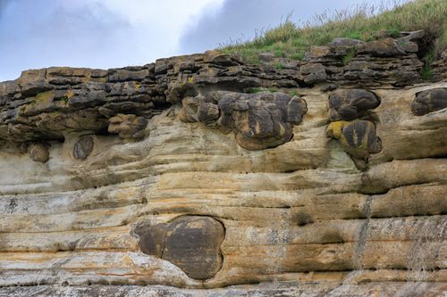 Free Close-up of unique eroded rock formations along the Scottish coastline, showcasing layered textures. Stock Photo