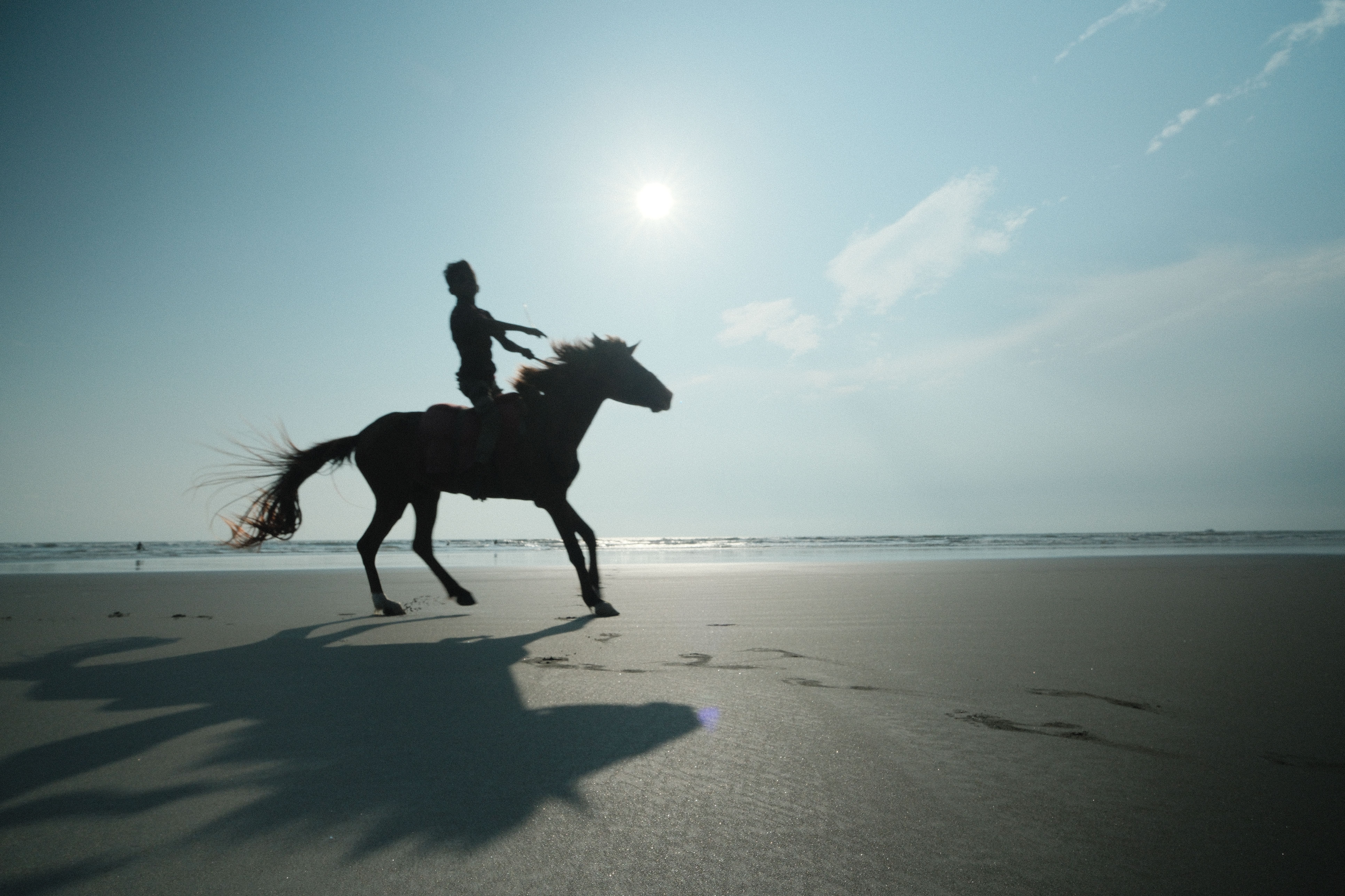 Silhouette de cavalier et cheval sur une plage ensoleillée