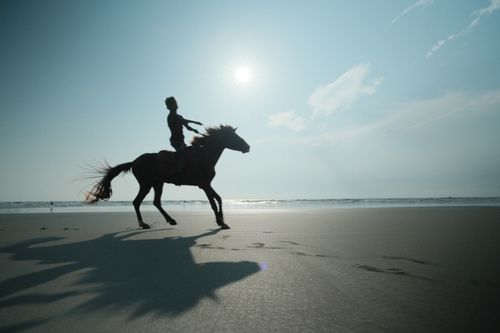 Free A horse and rider silhouette trot along a sunlit beach, showcasing freedom and adventure. Stock Photo