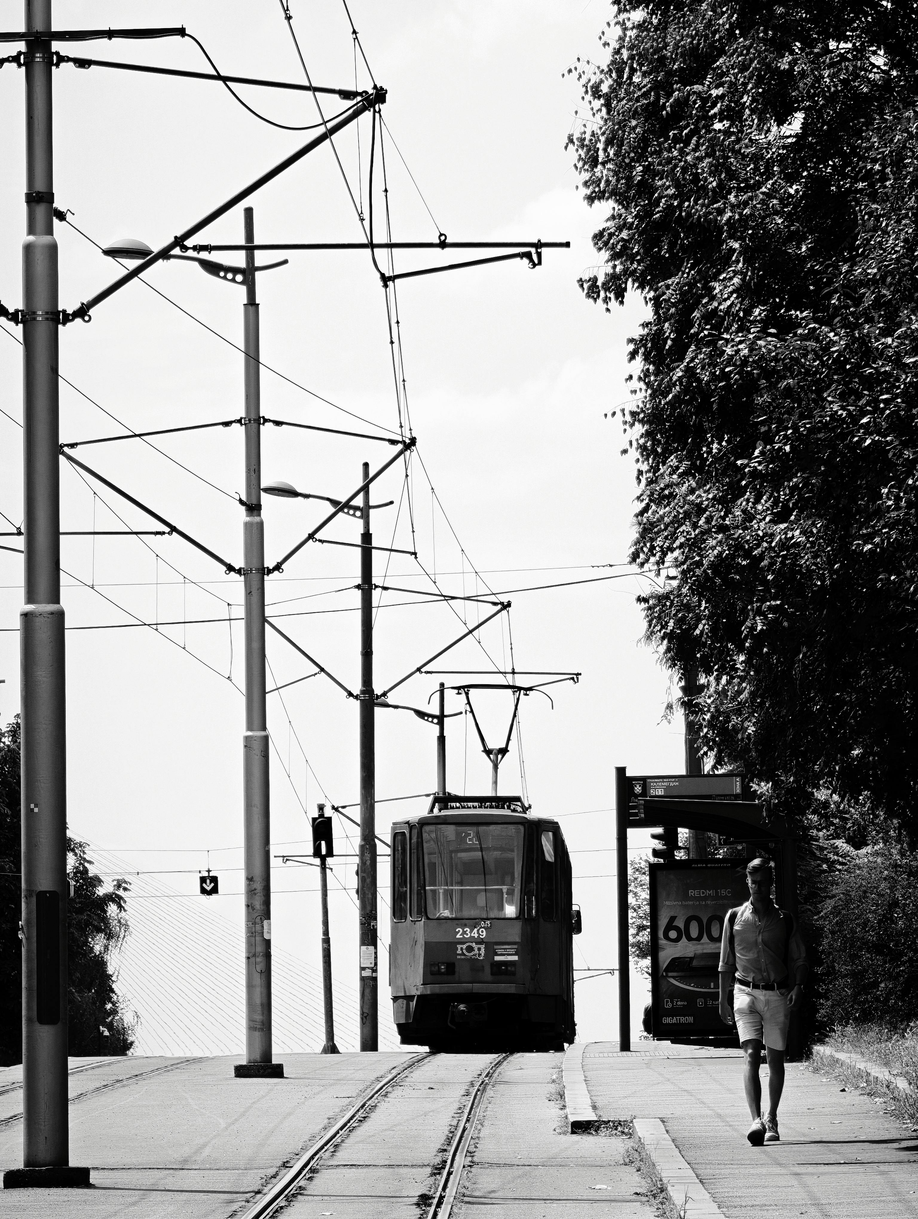 Belgrade tram public transport street