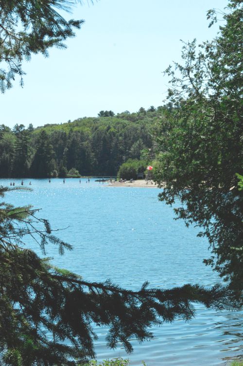 Free Tranquil summer day by the lake in Sainte-Cécile-de-Masham, Québec with lush greenery. Stock Photo