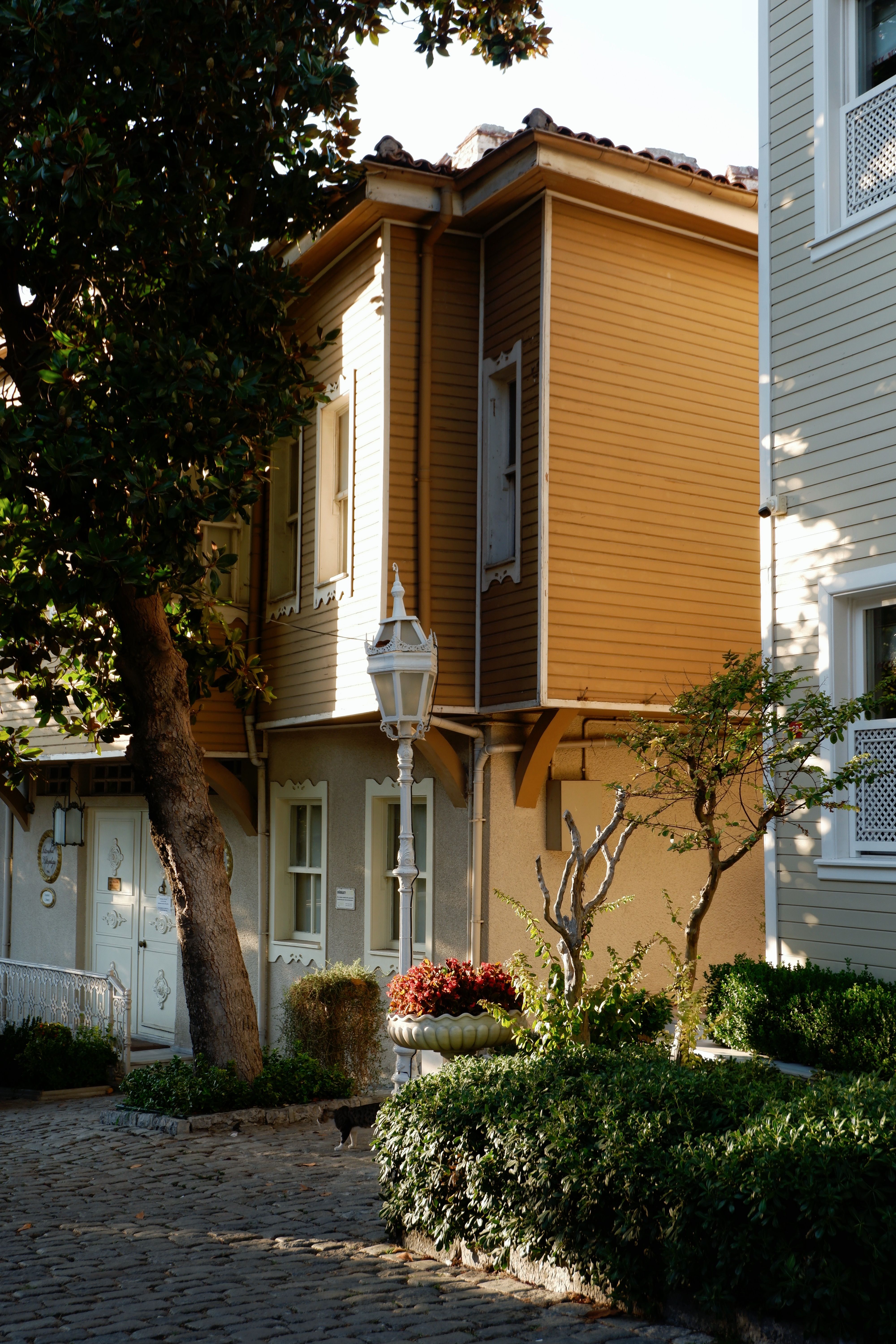 A picturesque residential street with historic architecture and lush greenery.