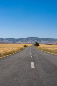 Long straight road through fields with distant hills and a clear blue sky, symbolizing freedom and journey.