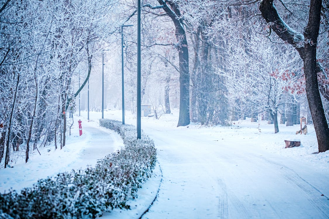 бесплатная Бесплатное стоковое фото с дорога, зима, на открытом воздухе Стоковое фото