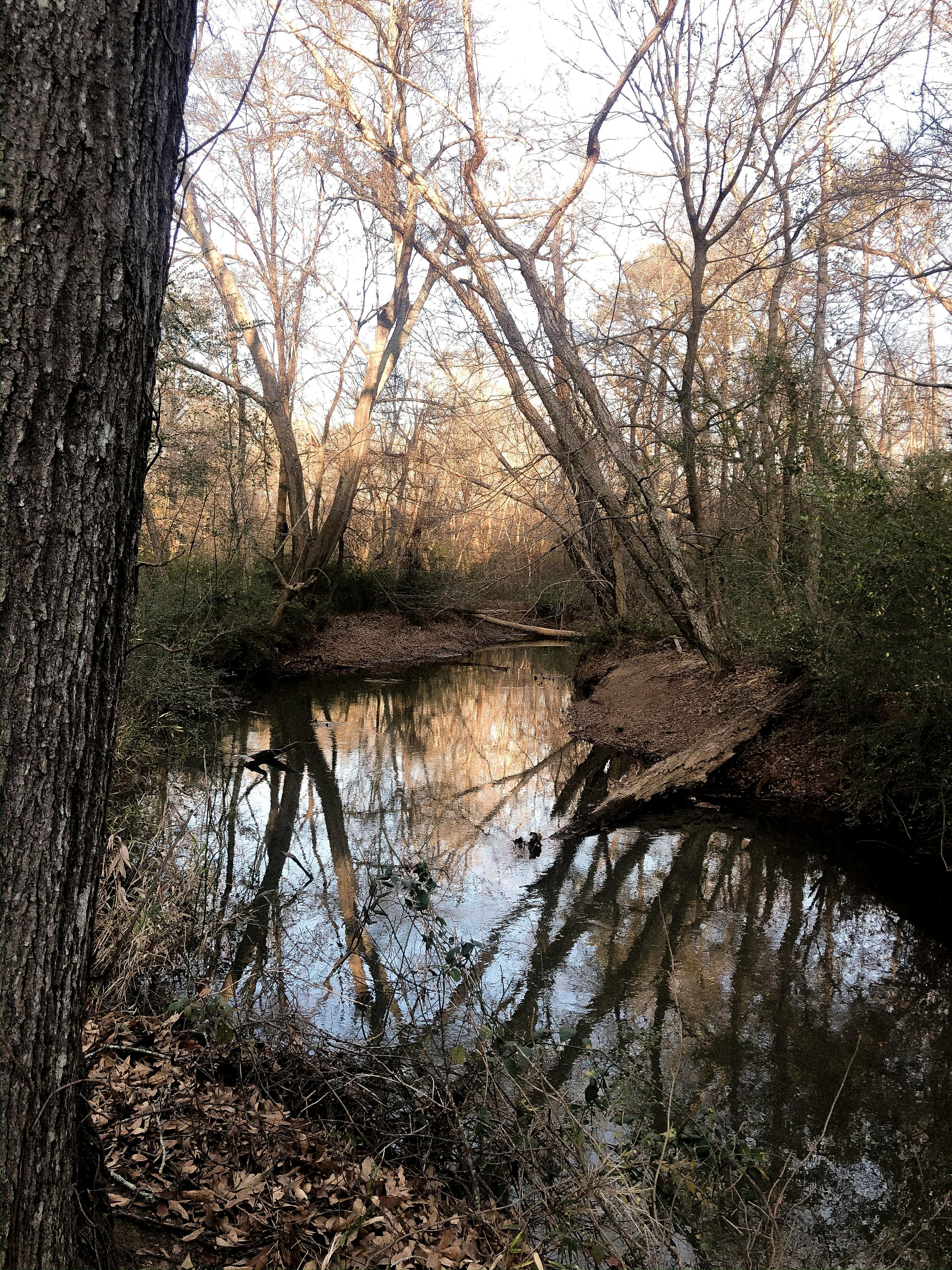 Sunday Morning Quotes: Inspiring and Reflective Words to Start Your Day