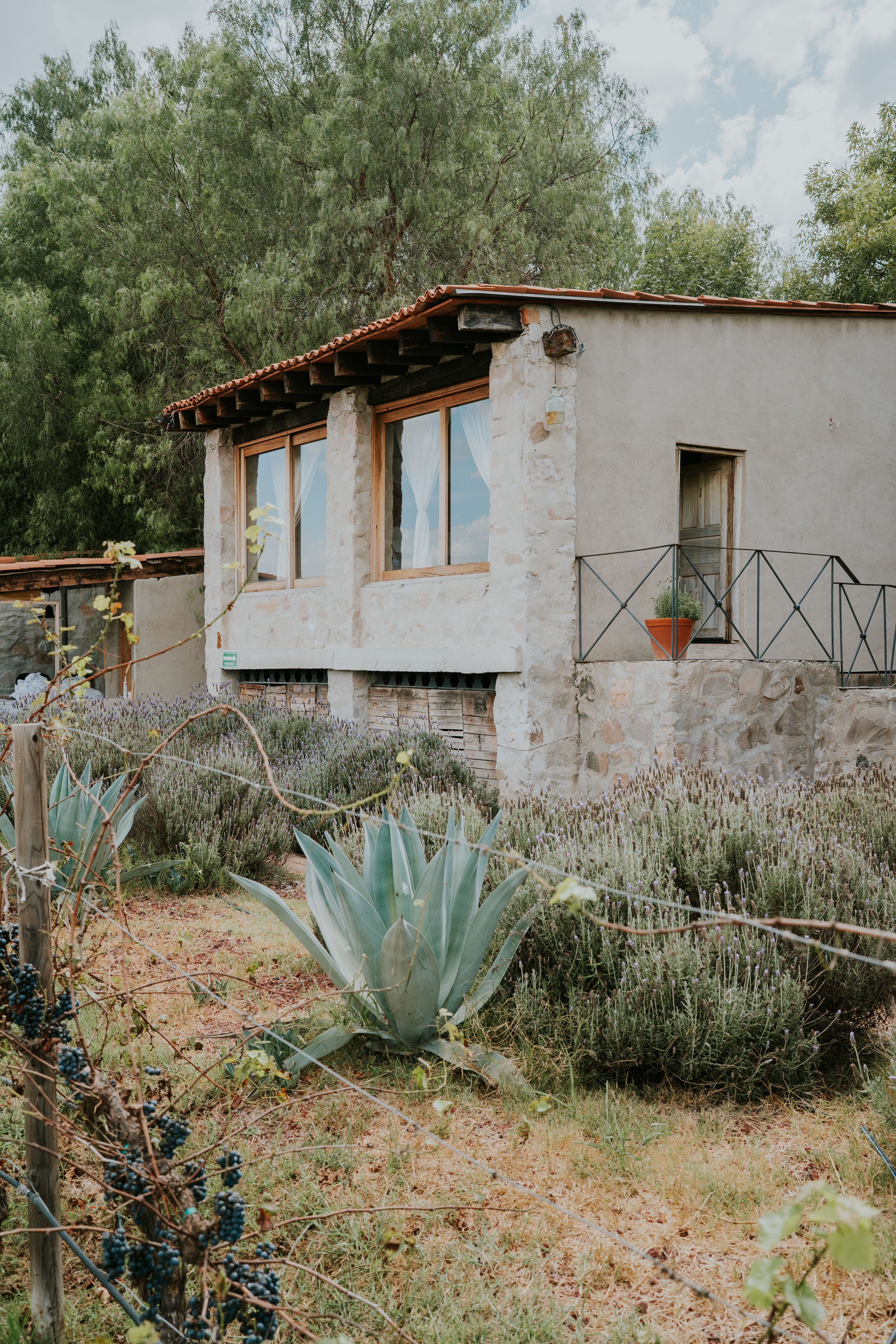 Gratis Affascinante casa in pietra circondata dal verde e dai vigneti, che evoca l'atmosfera rustica della campagna. Foto a disposizione