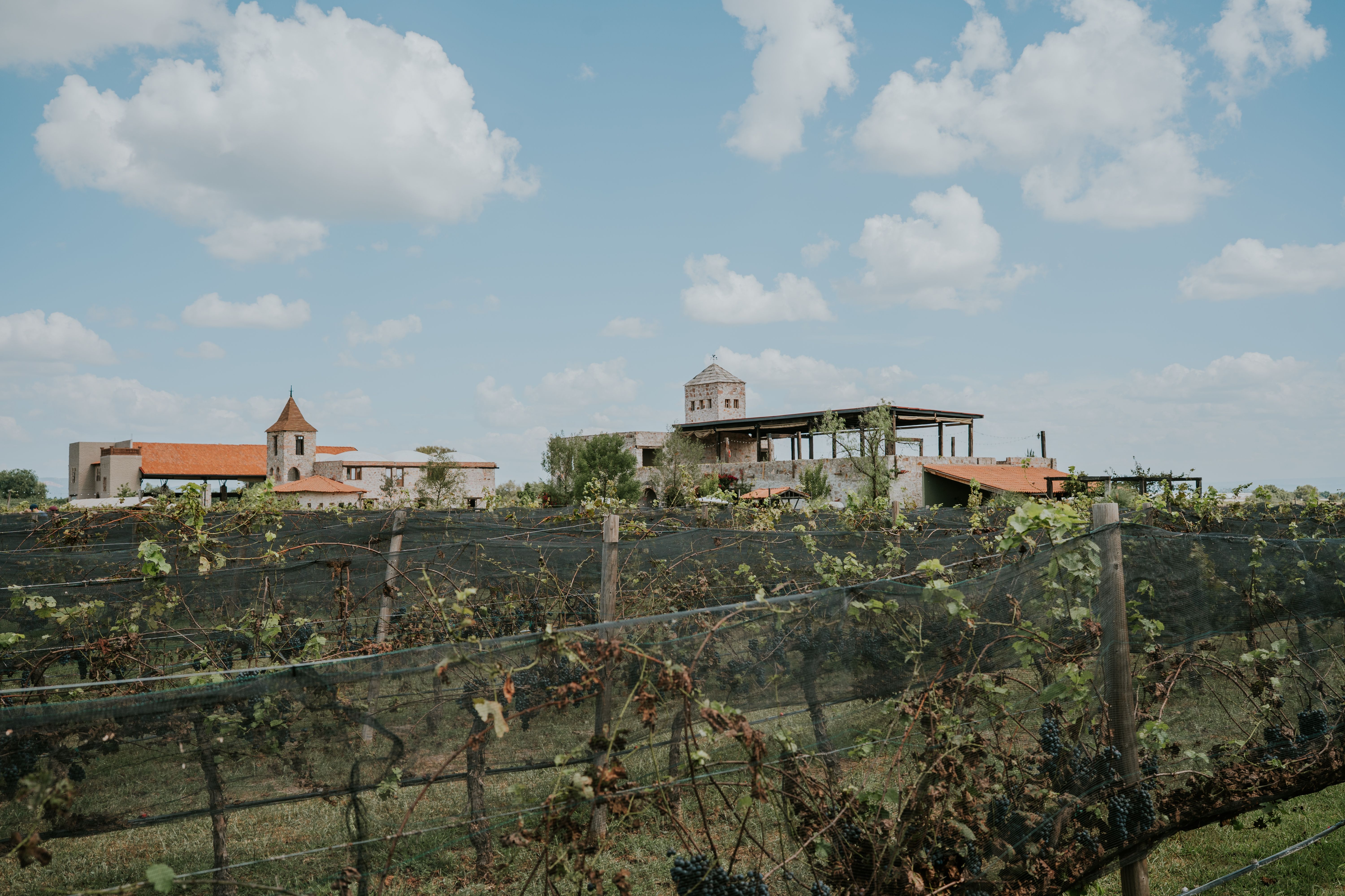 Eden Hill Vineyards & Winery