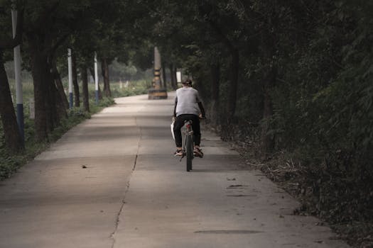 A person leisurely cycling down a tranquil, tree-lined path on a peaceful day.