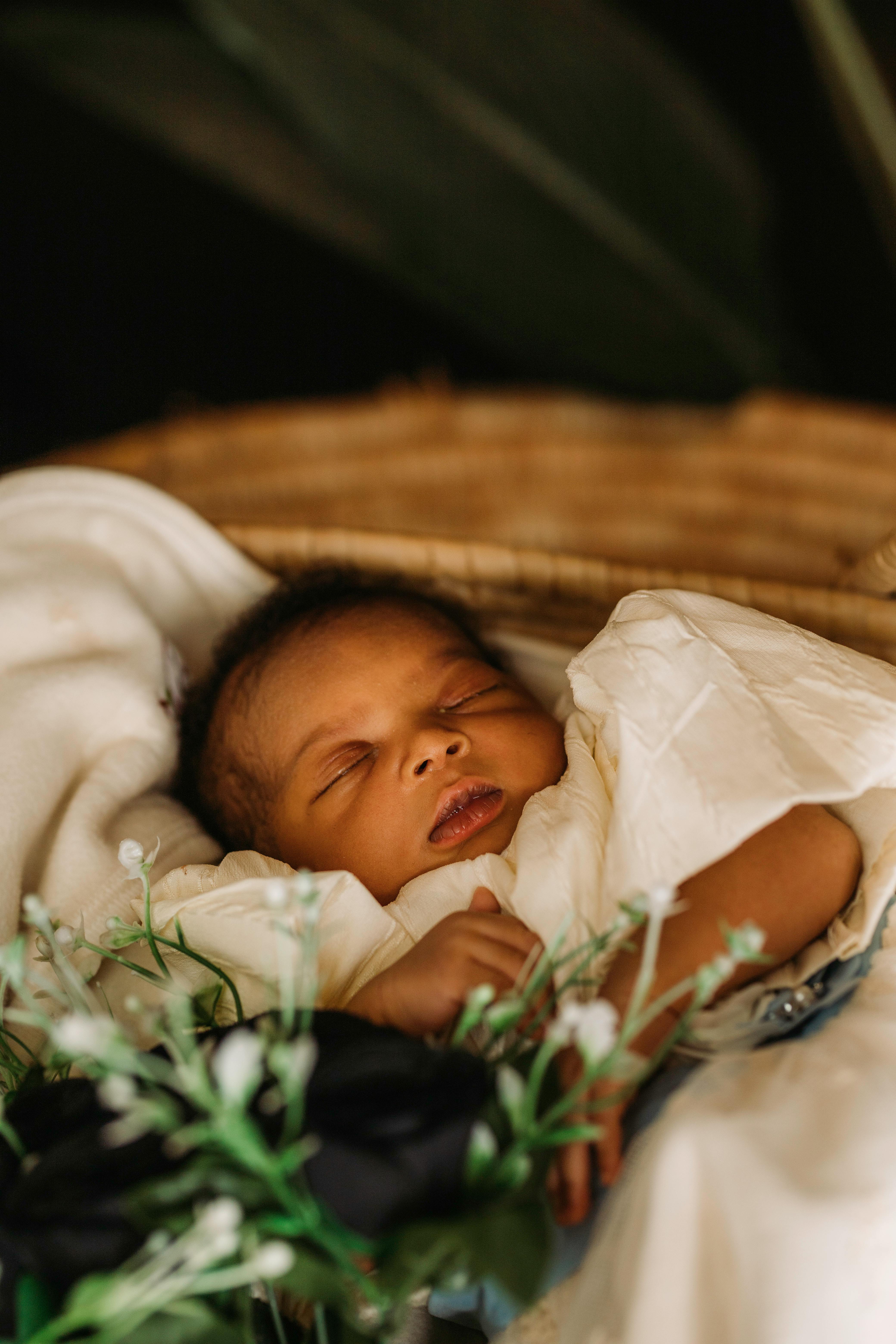 A serene image of a sleeping baby nestled in a wicker basket, surrounded by soft blankets and greenery.