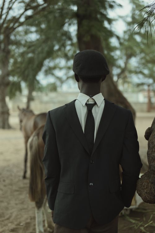Free Man in a suit standing outdoors with horses, facing away, in a park setting. Stock Photo