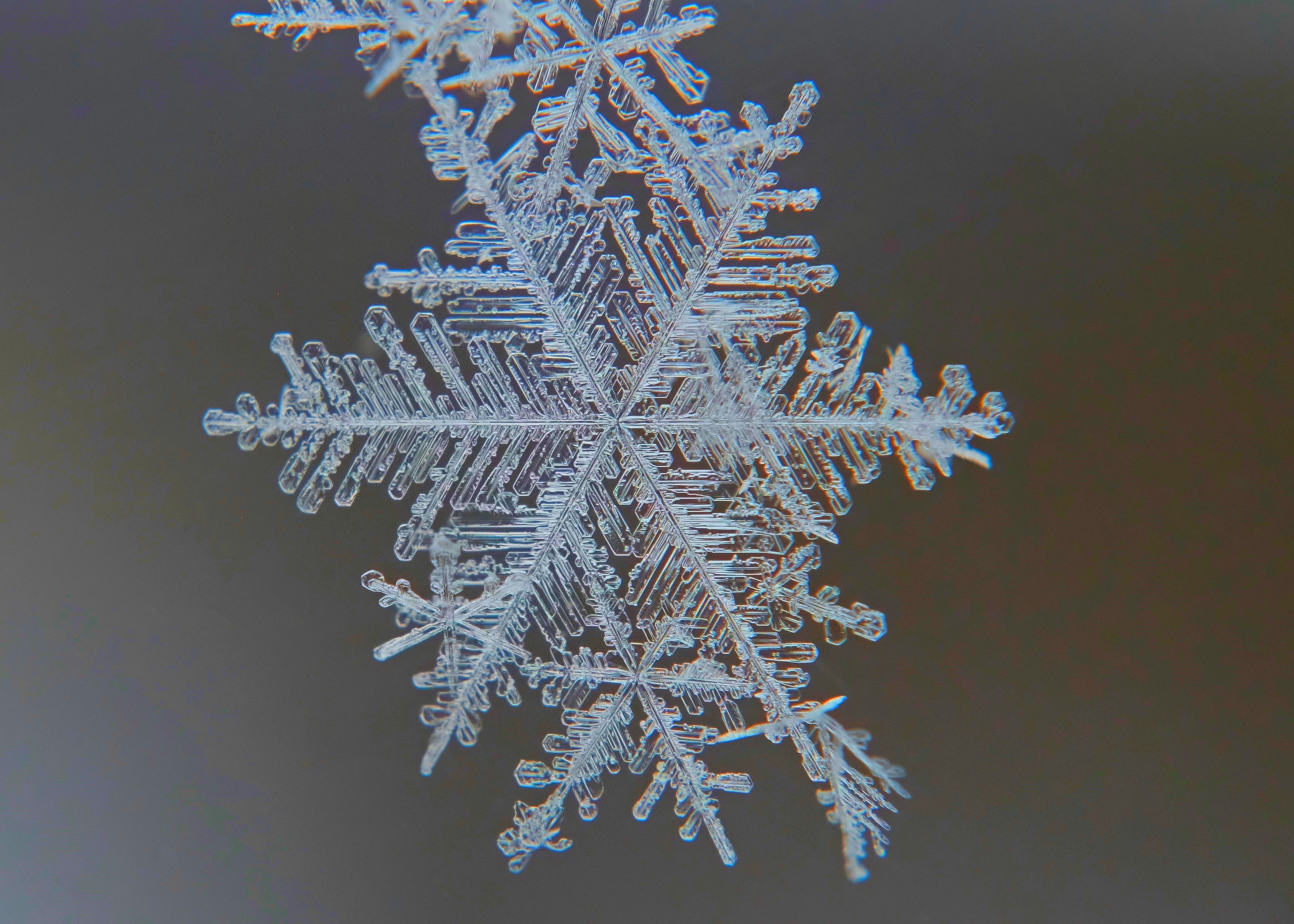 Macrophotographie D'un Flocon De Neige à Lapeer, Michigan · Photo gratuite