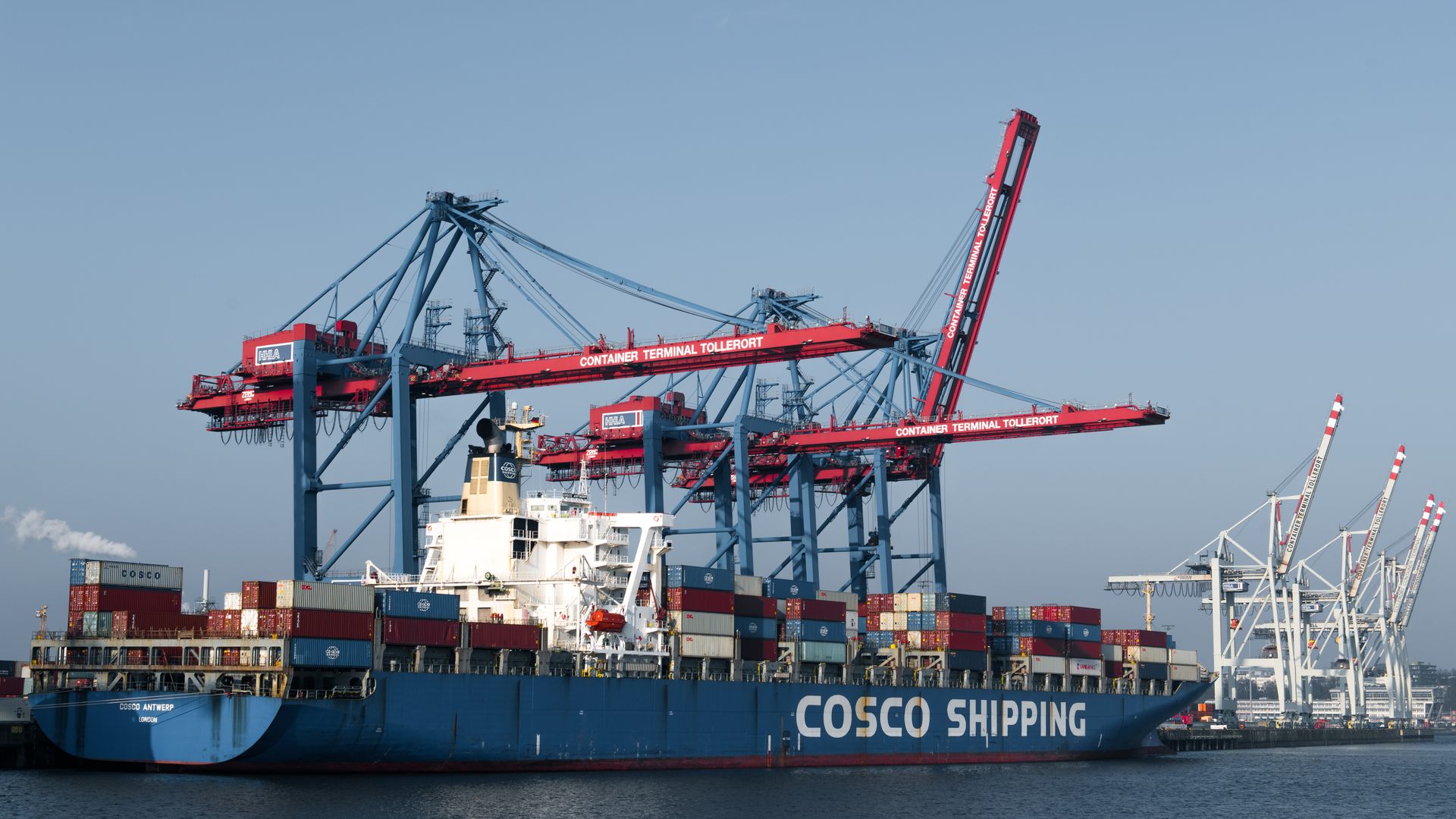 Container ships and cranes at Shanghai port