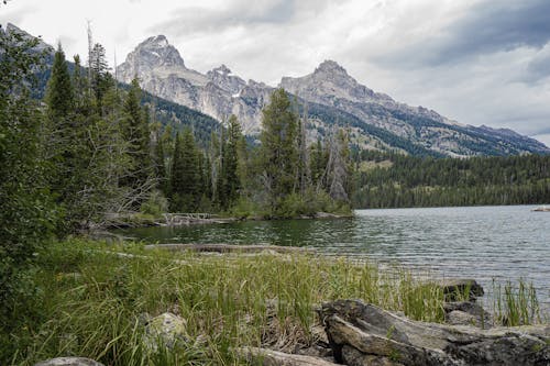 Fotobanka s bezplatnými fotkami na tému exteriéry, grand teton, hory