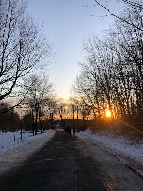 Ilmainen kuvapankkikuva tunnisteilla auringonlasku, auringonlasku taivas, Montreal