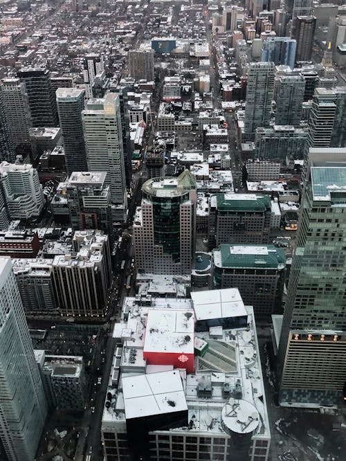 Gratis stockfoto met ontario, Toronto, toronto van de binnenstad