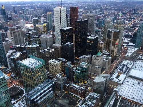 다운타운 토론토, 도시, 도시의의 무료 스톡 사진