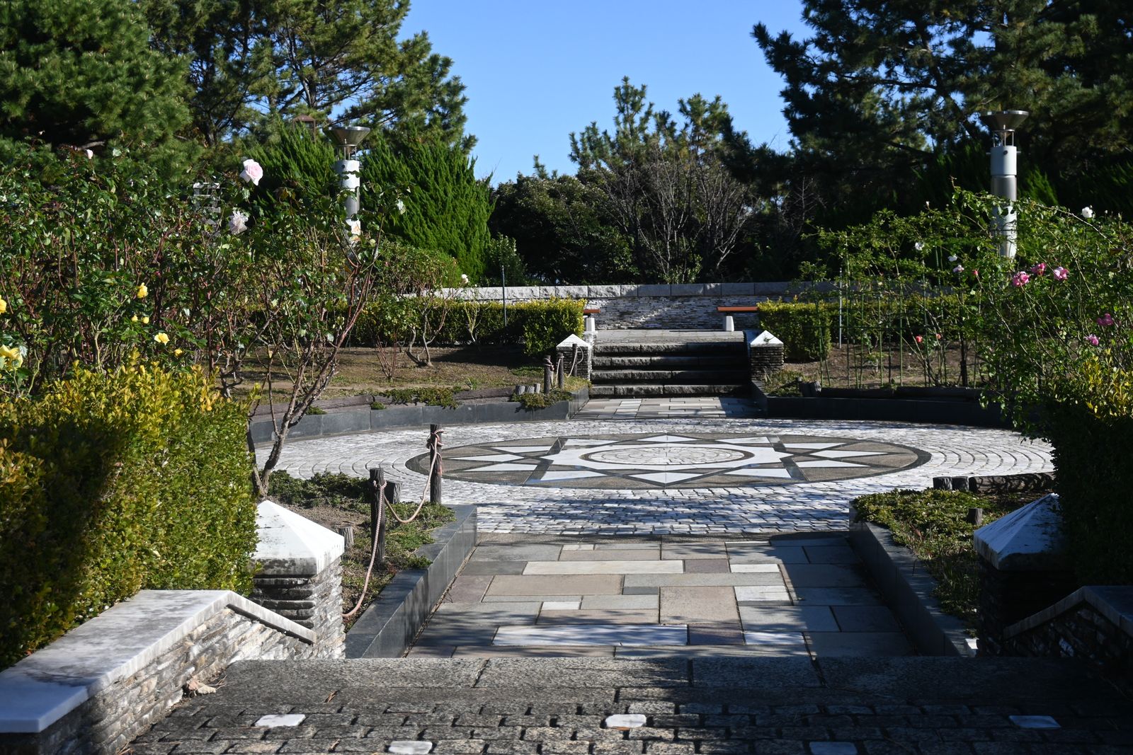 Professional paving installation with proper base preparation