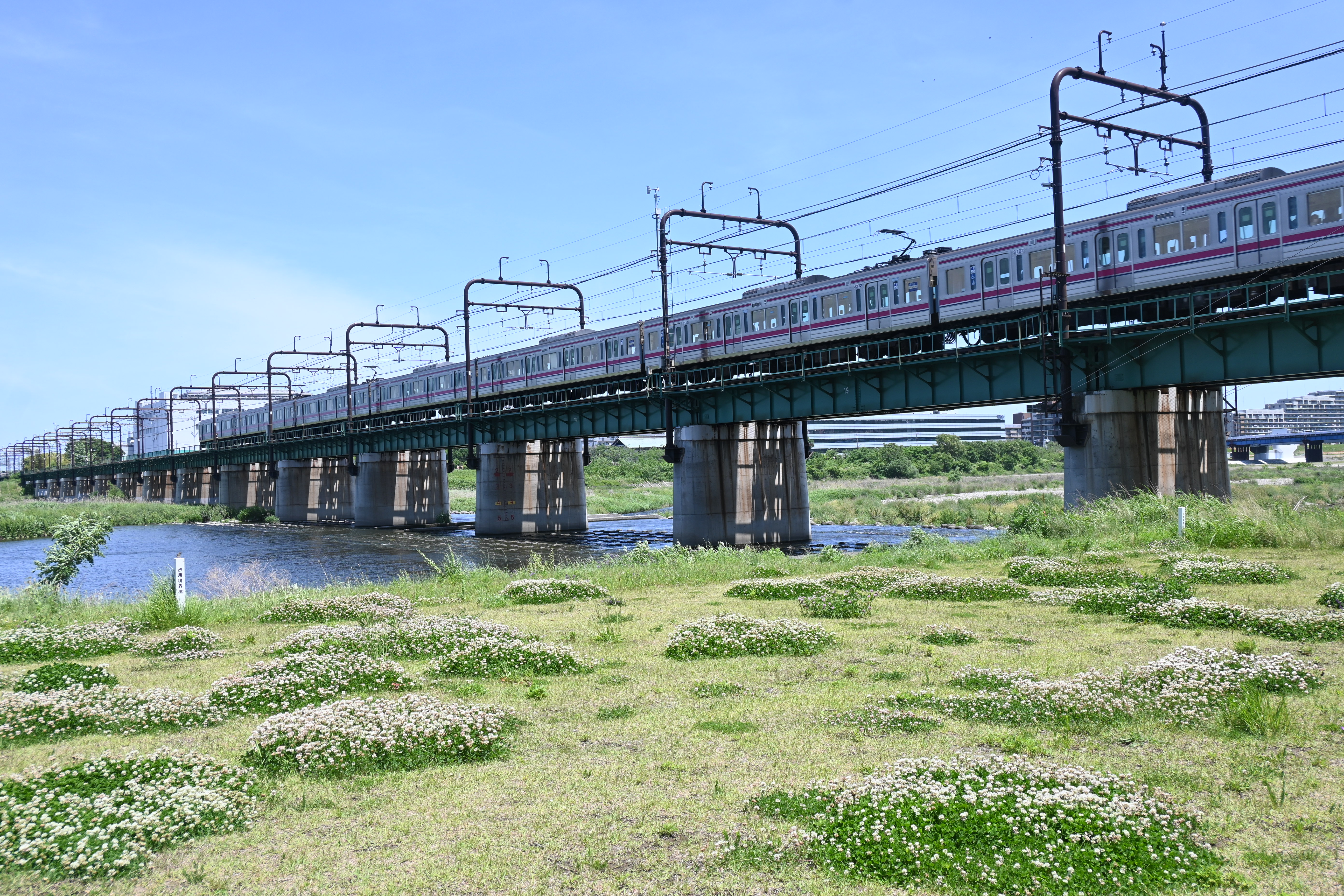 澄み切った青空の下、緑豊かな川にかかる橋を列車が渡っています。