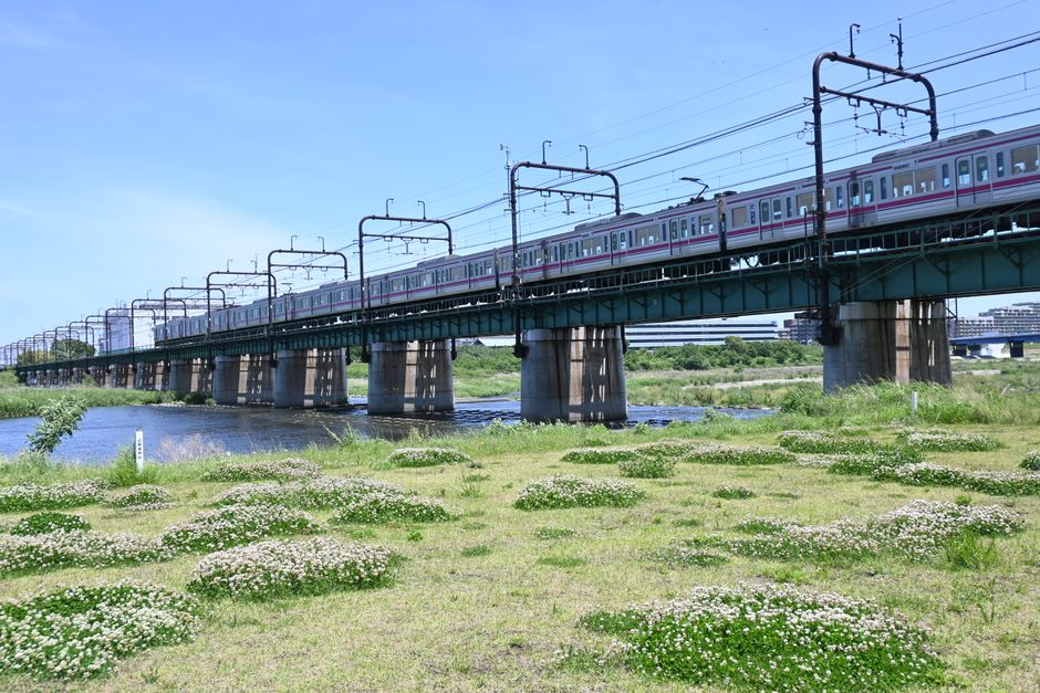 澄み切った青空の下、緑豊かな川にかかる橋を列車が渡っています。