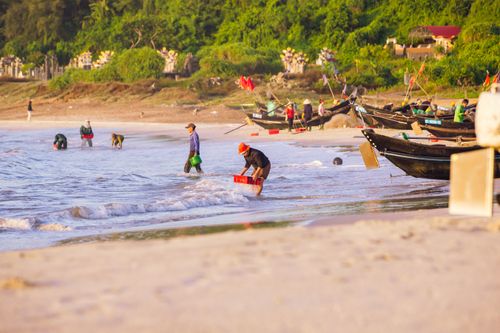 Free Fishermen collecting seafood during sunrise on a tropical beach with boats in the background. Stock Photo