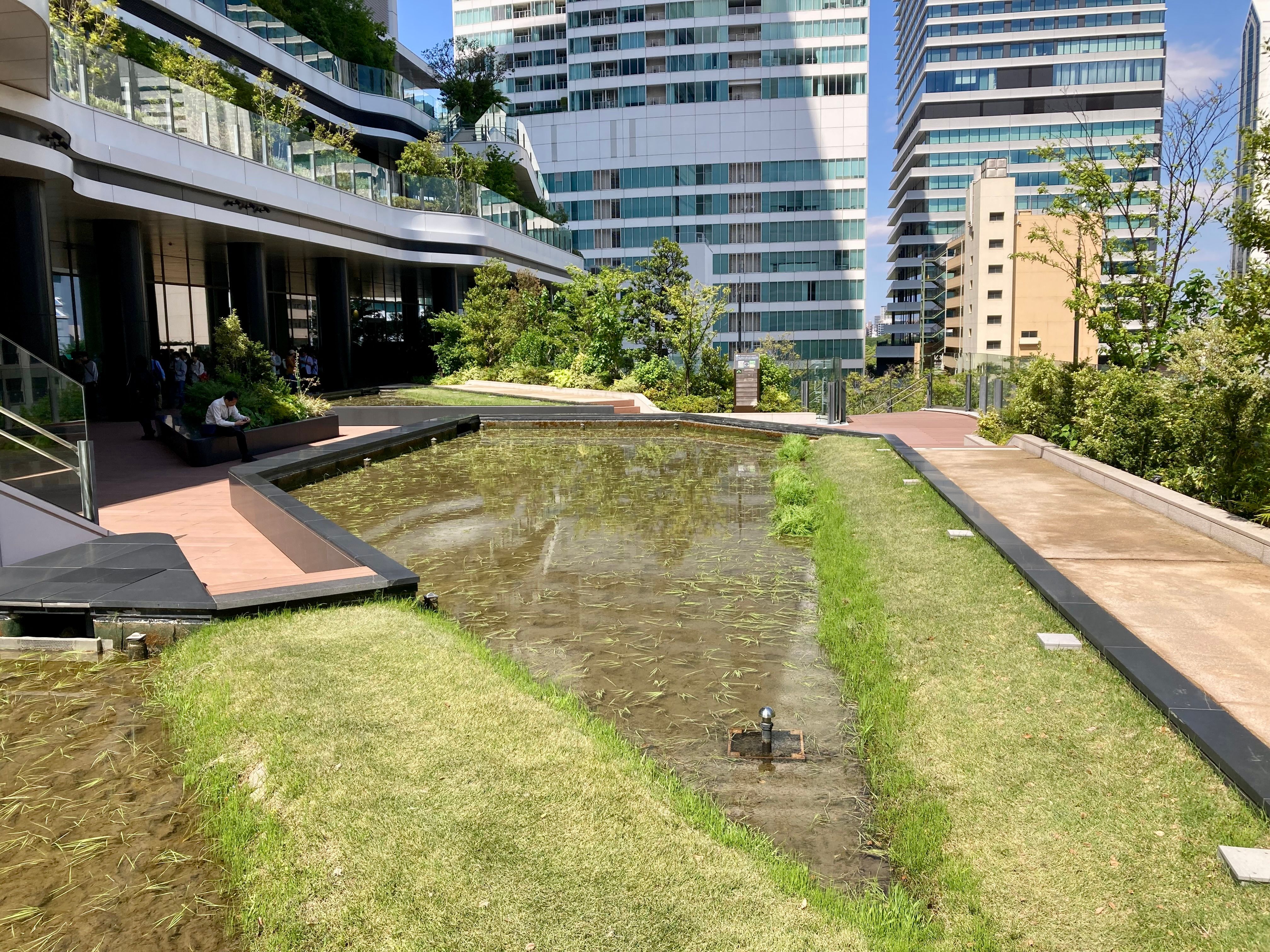 Travel inspiration for A Cool, Design-Led Day at Takanawa Gateway