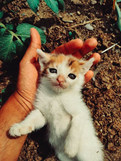 Ways To Express Love And Care In Friendships. 19 Friends-Smiling-And-Holding-Hands