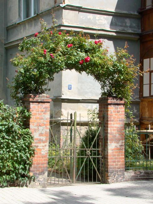A vintage brick archway adorned with vibrant red roses at a classic building entrance.