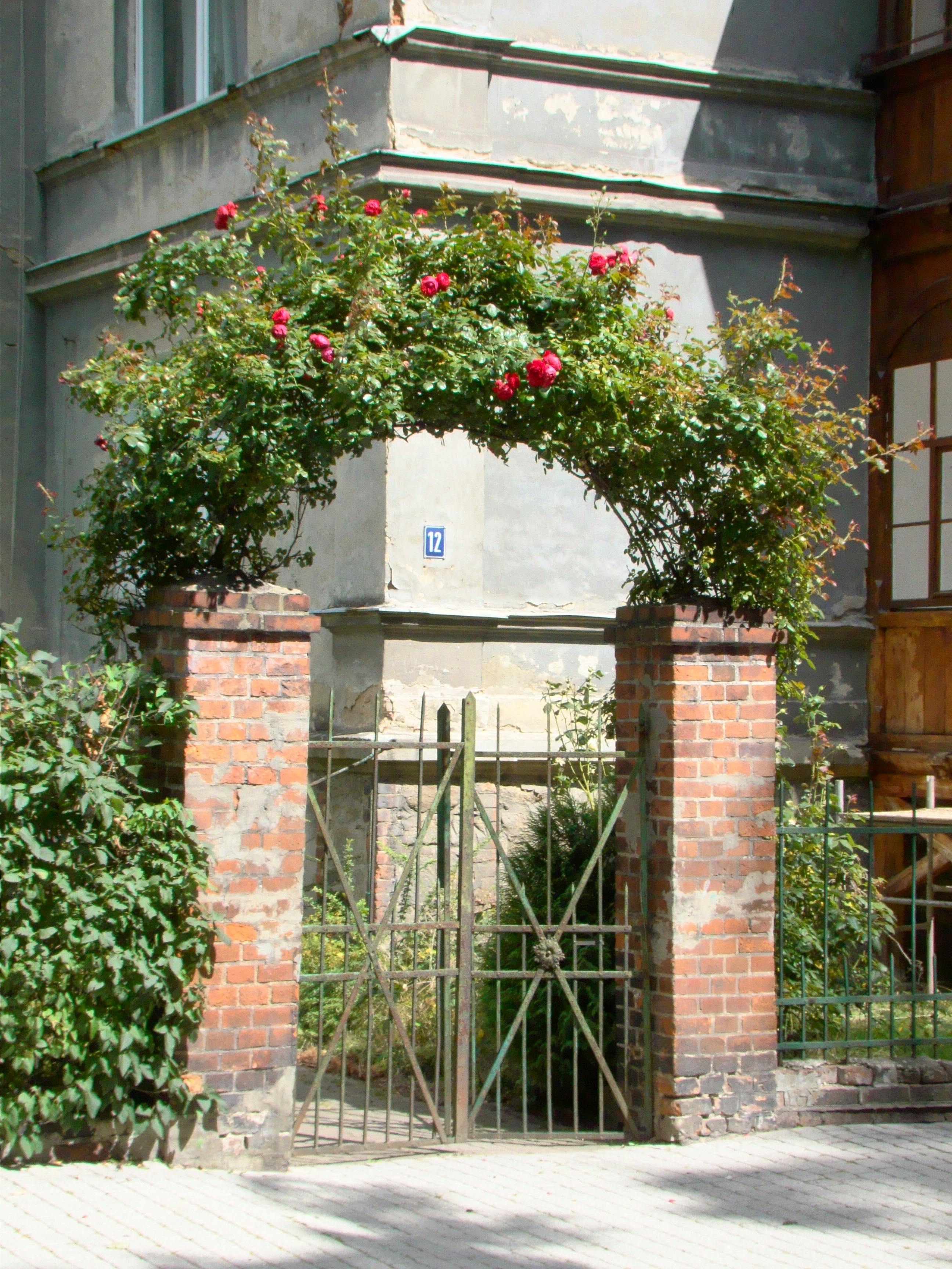 Building a Garden Arch: Easy Steps for Stunning Outdoor Decor