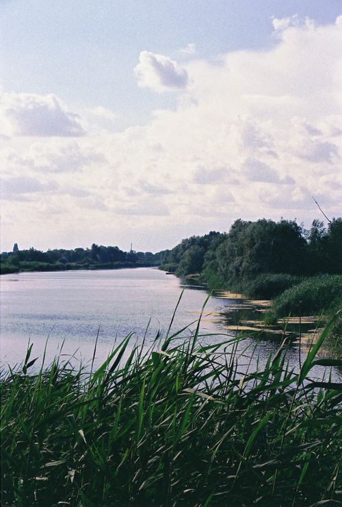 Free A serene summer day along a riverbank in Dnipro, Ukraine, with lush greenery and a cloudy sky. Stock Photo