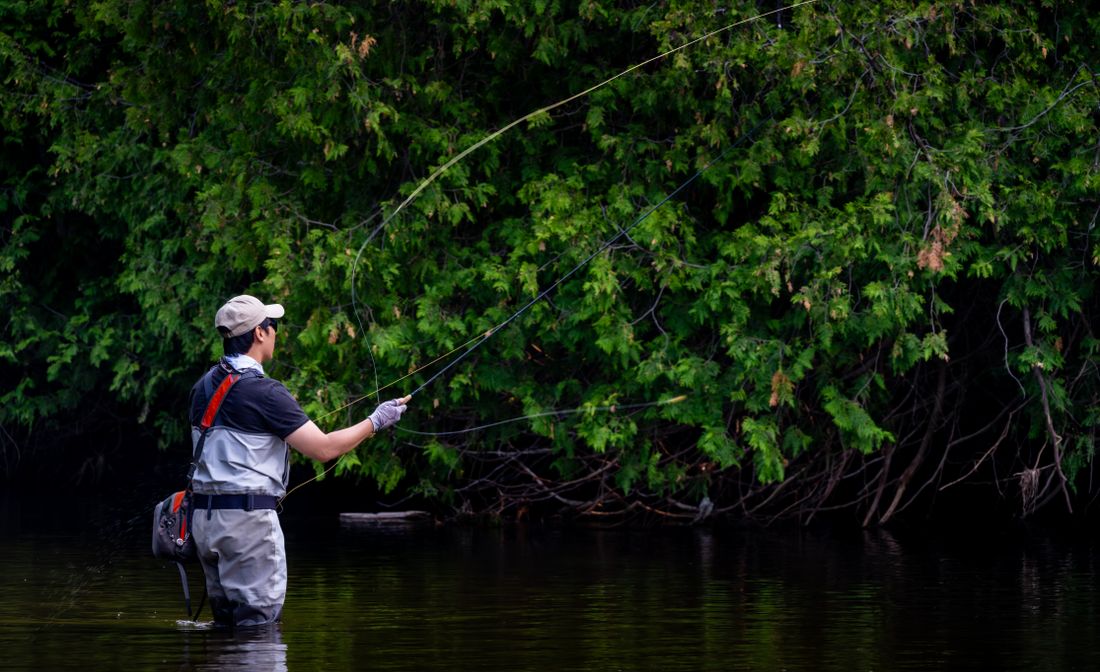 A fly fisher wading and casting into a quiet, tree-lined creek