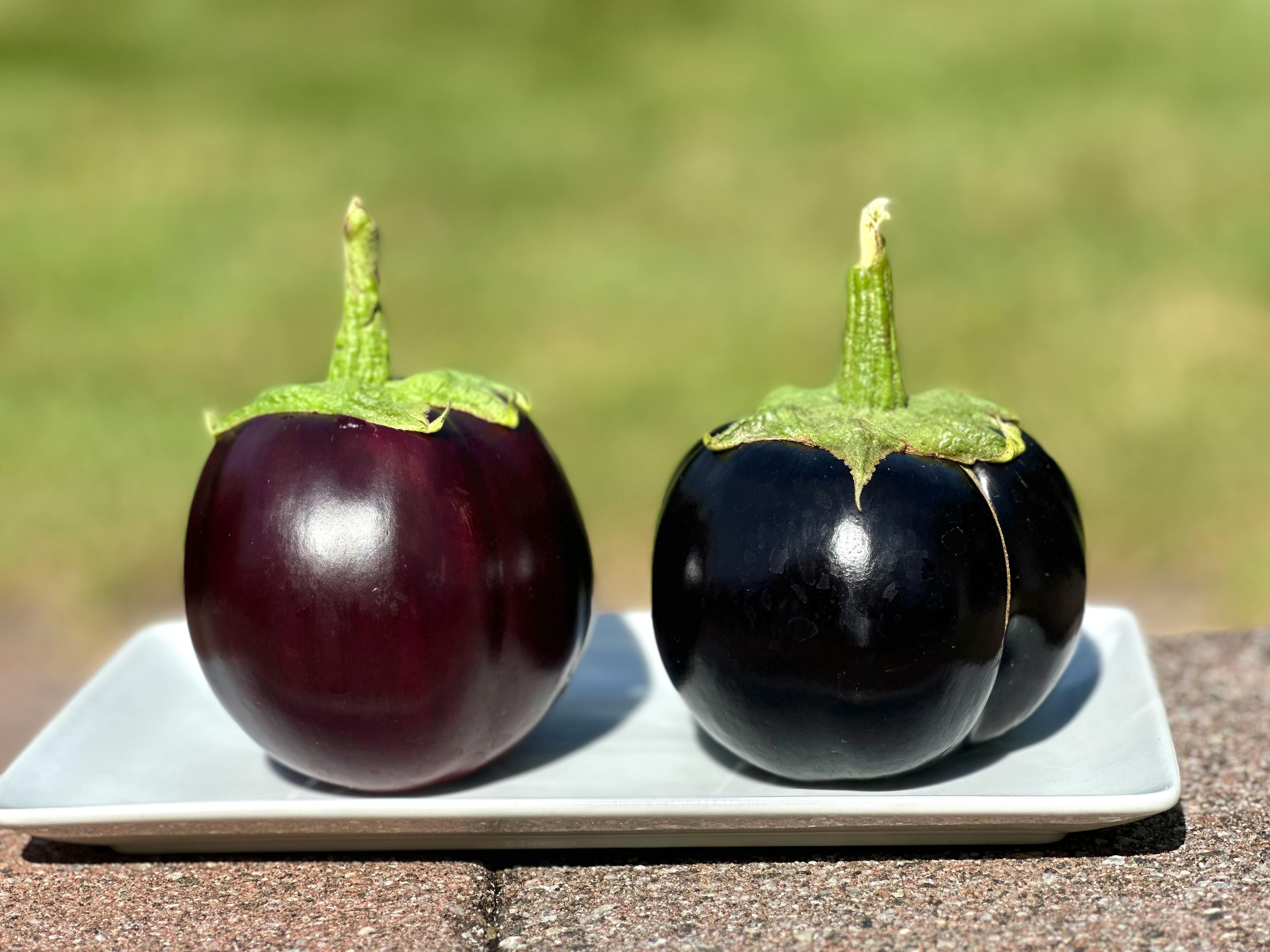 Organic Brinjal