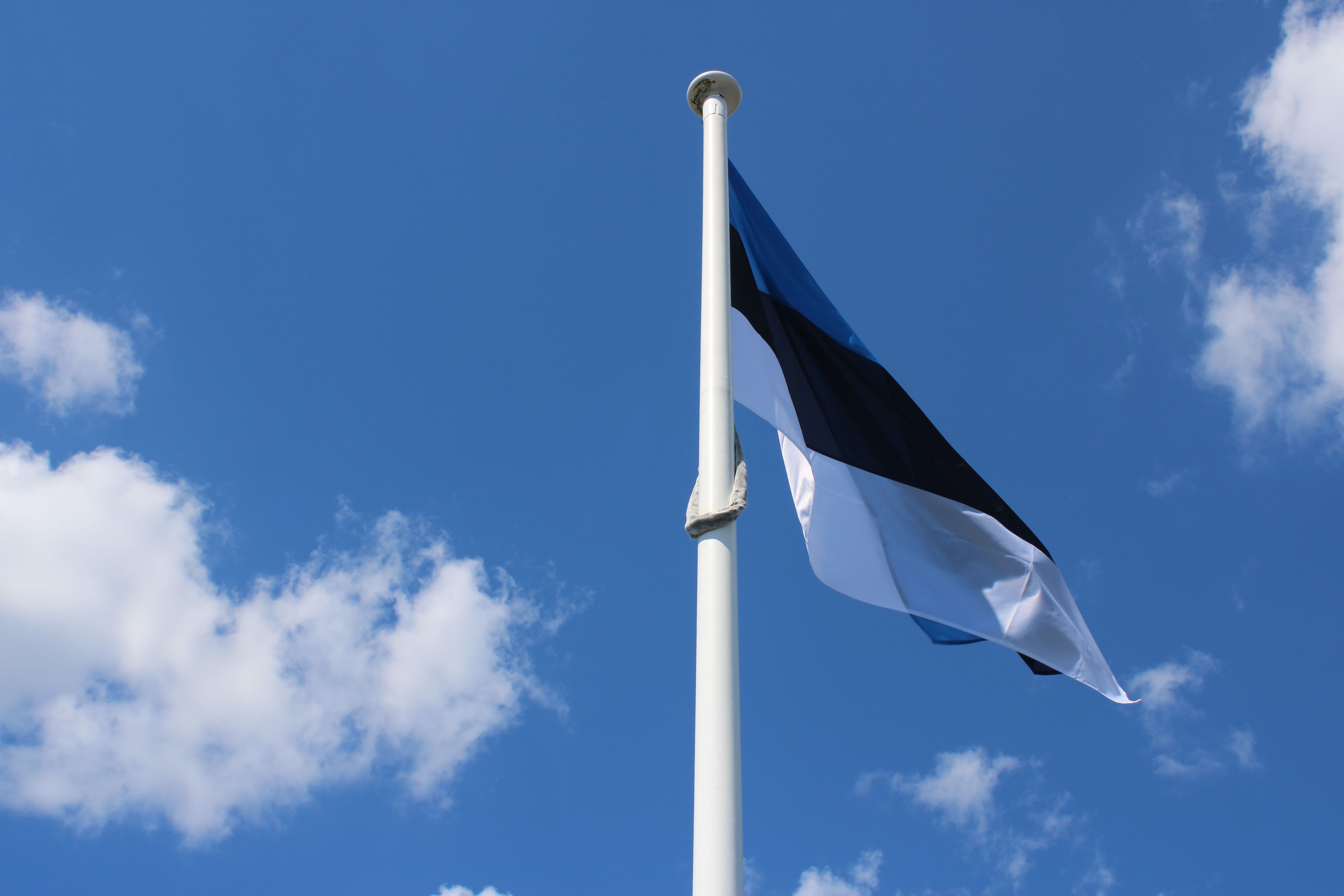 Estonian Flag Waving in Clear Blue Sky · Free Stock Photo