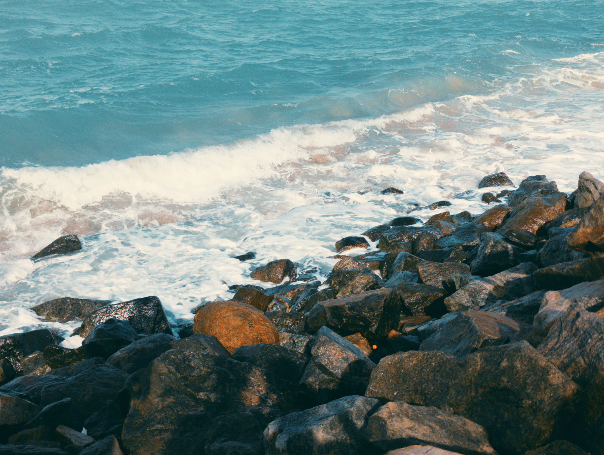 Edit In Canva edit-in-canva