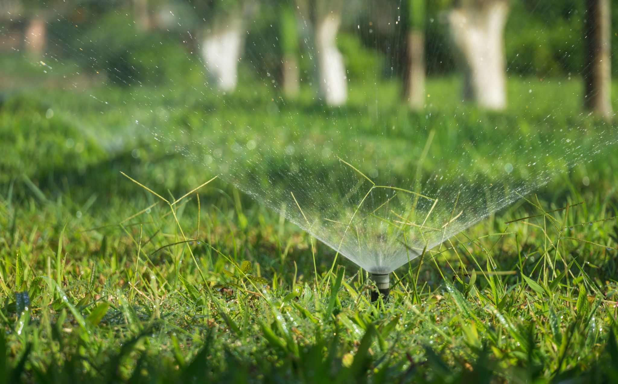 Grasveld op Sterappel krijgt extra glans