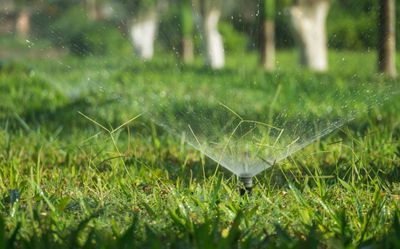 Sprinkler on grassy field