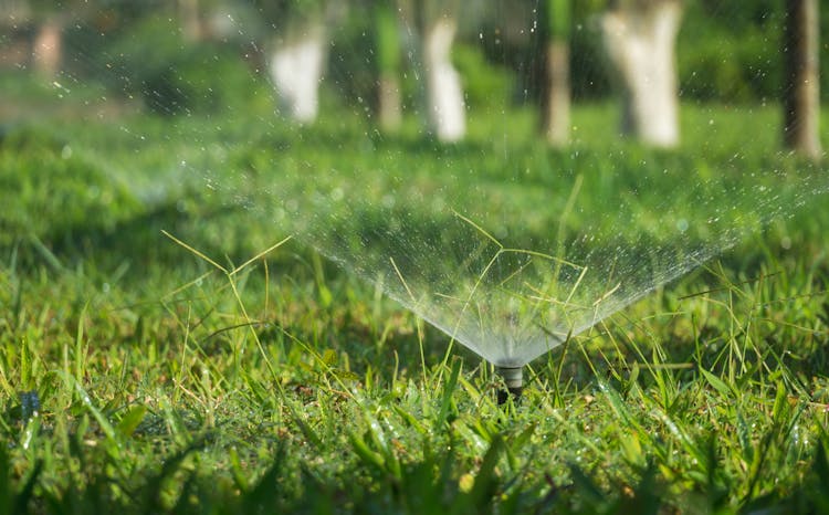 Sprinkler On A Grassy Field