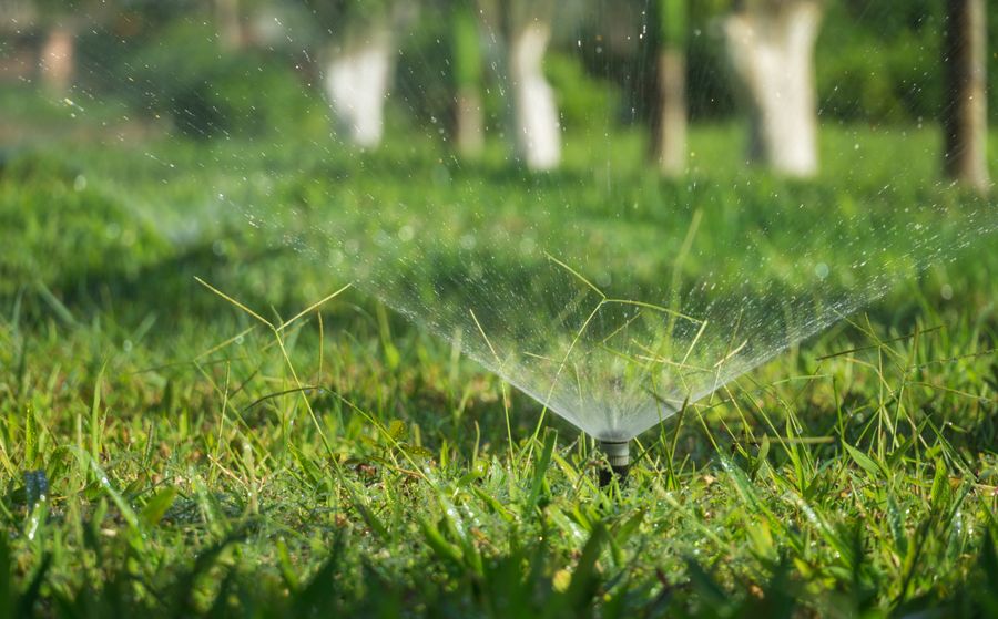 Sprinkler head arcing water evenly across grass