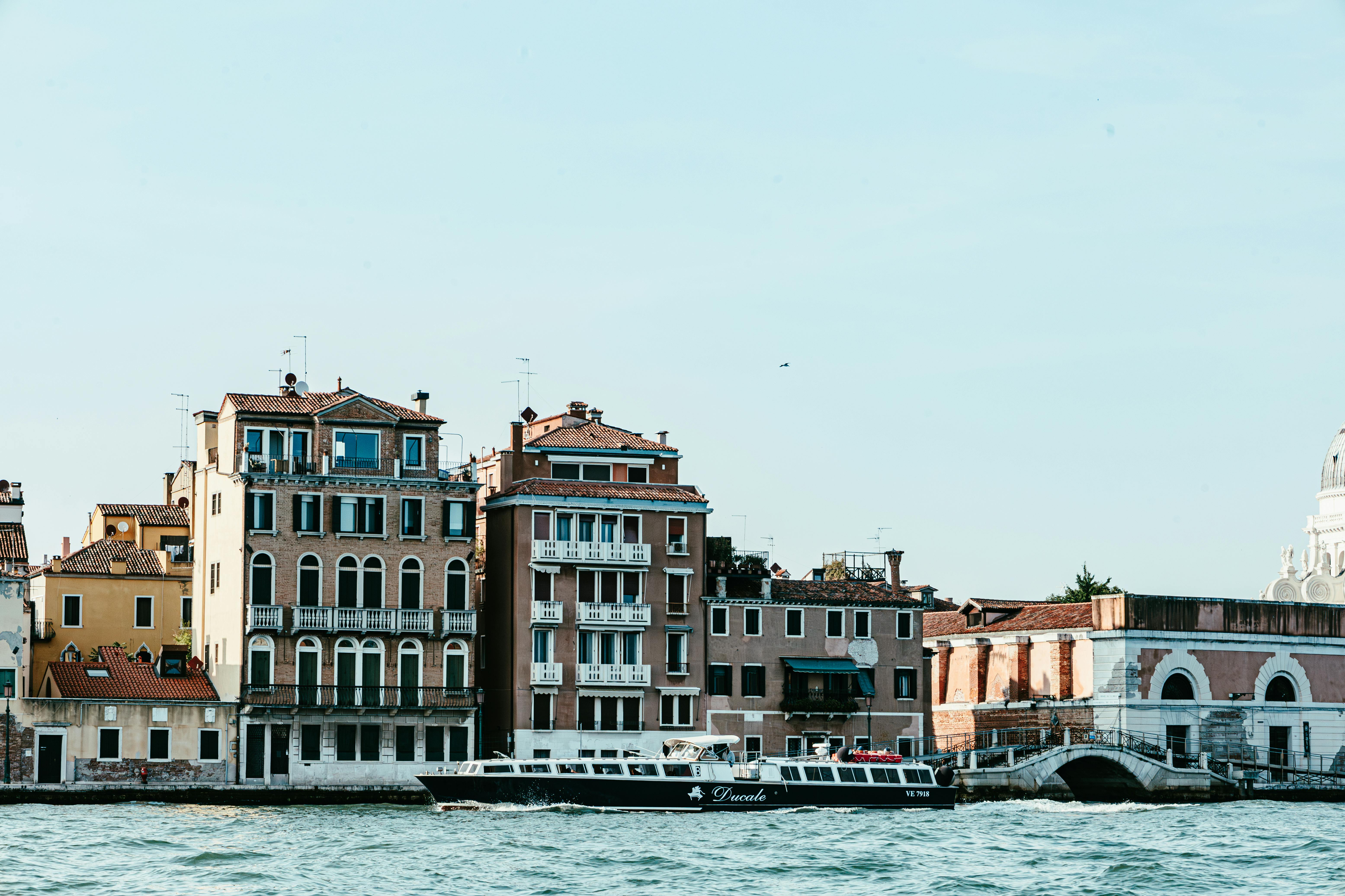 pexels photo 33519359