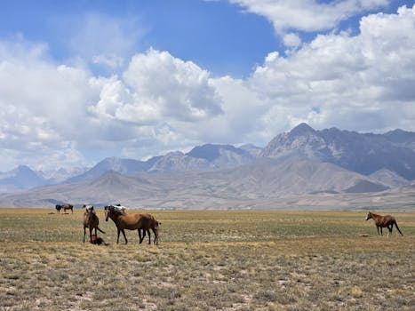 Osh, Kyrgyzstan photo 6